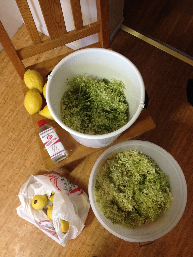 Elderberry flower Champagne Holunderblütenchampagner Flickr