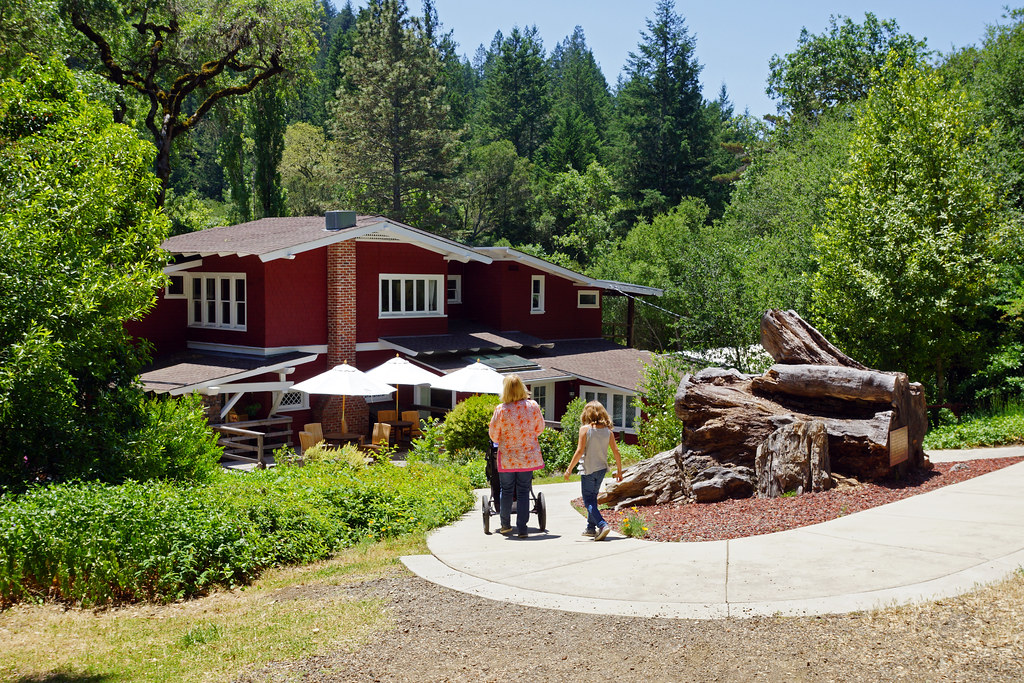 20120526 0528 Mendocino County 241 Calistoga, Petrified… Flickr