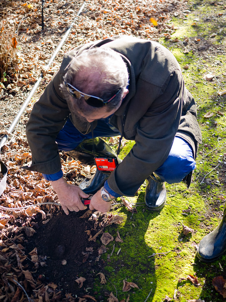Truffle hunt, Manjimup At The Wine & Truffle Co, Manjimup,… Flickr
