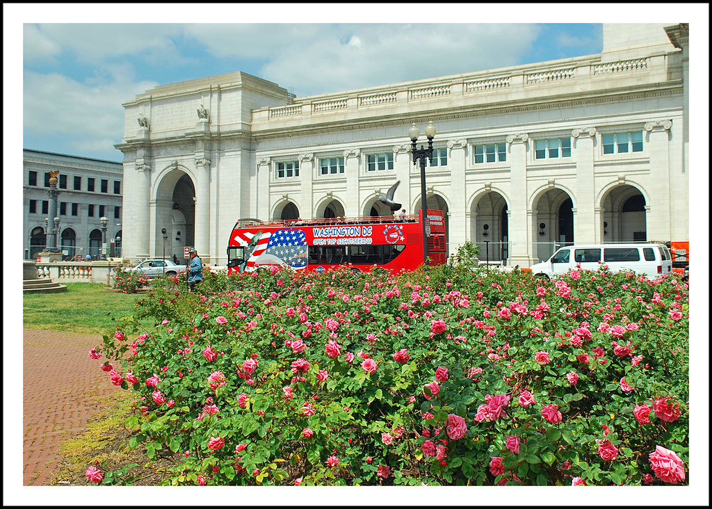Washington Union Station flowers Designed by architect Dan… Flickr
