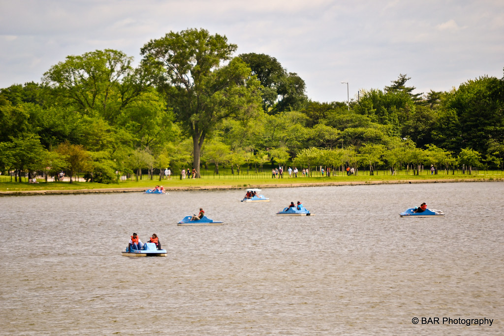 Paddle Boats on the Tidal Basin Shore of the Potomac River… Flickr