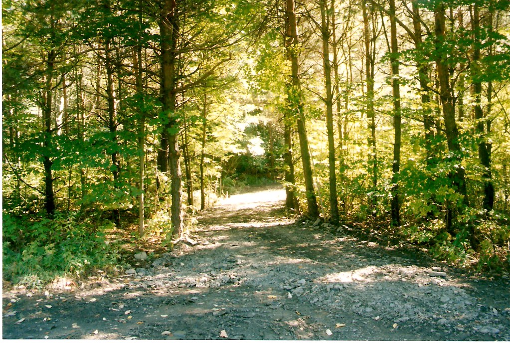 Homestead Campgrounds Construction, Roseboom, New YorkThr… Flickr