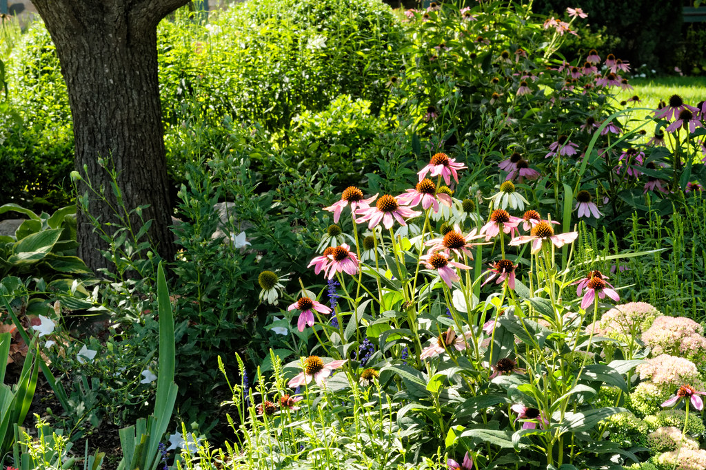 The Garden at the Opera House Grand Ledge, Michigan. Flickr