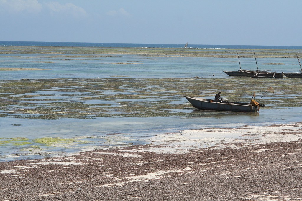 Kenya, Mtwapa Beach leonanddebbie Flickr