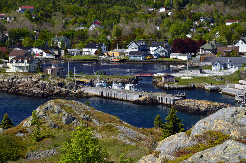 Brigus Harbour Photo Julie Hewlett. Lilacs in Bloom! Brig… Flickr