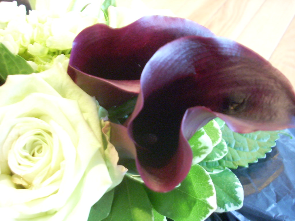 Roses & lillies MOSS Floral Design Flickr