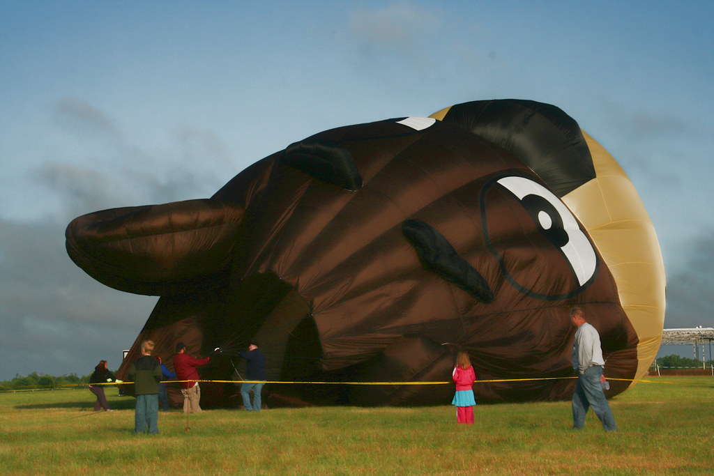 3045 Jackson, MI / Hot Air Balloon Jubilee / 2009 Kathy Flickr