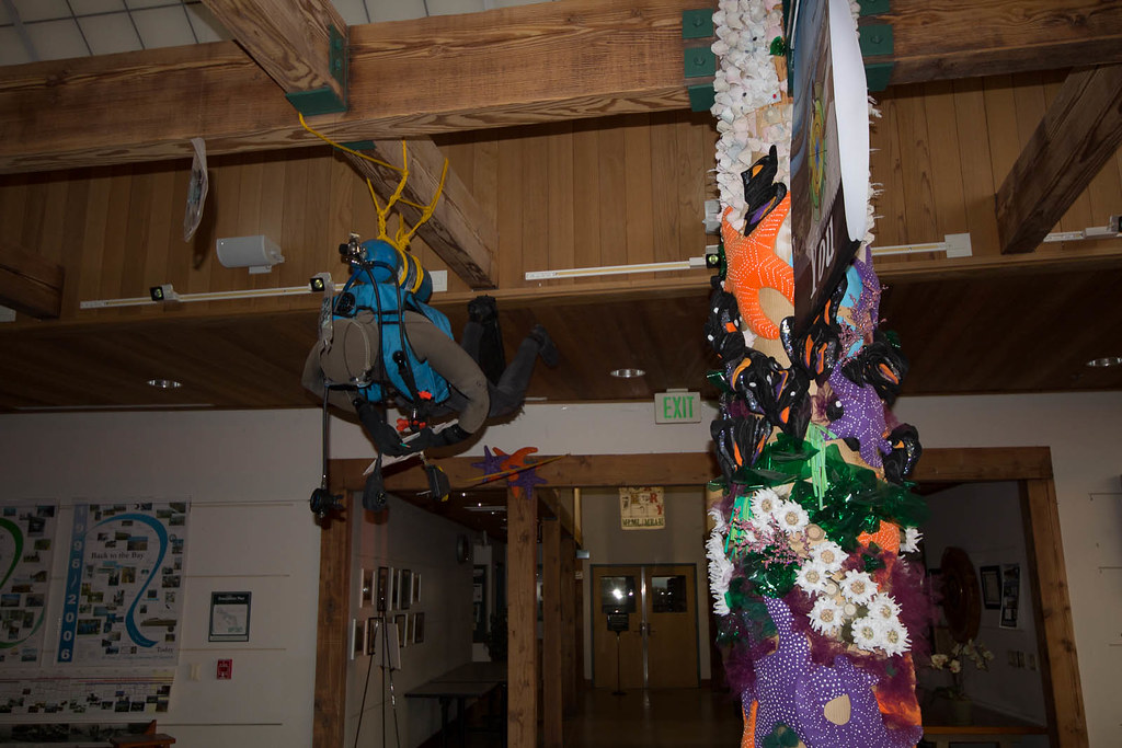 Diving Decor I love how the Moss Landing Marine Labs has d… Flickr