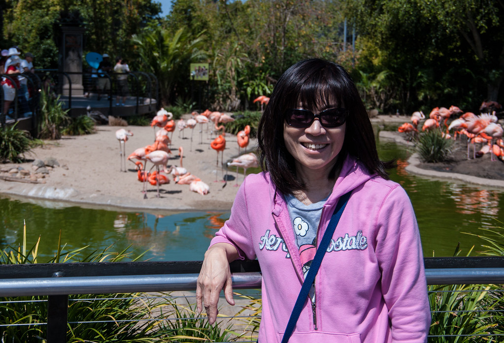 Pretty In Pink SD Zoo pchow98 Flickr
