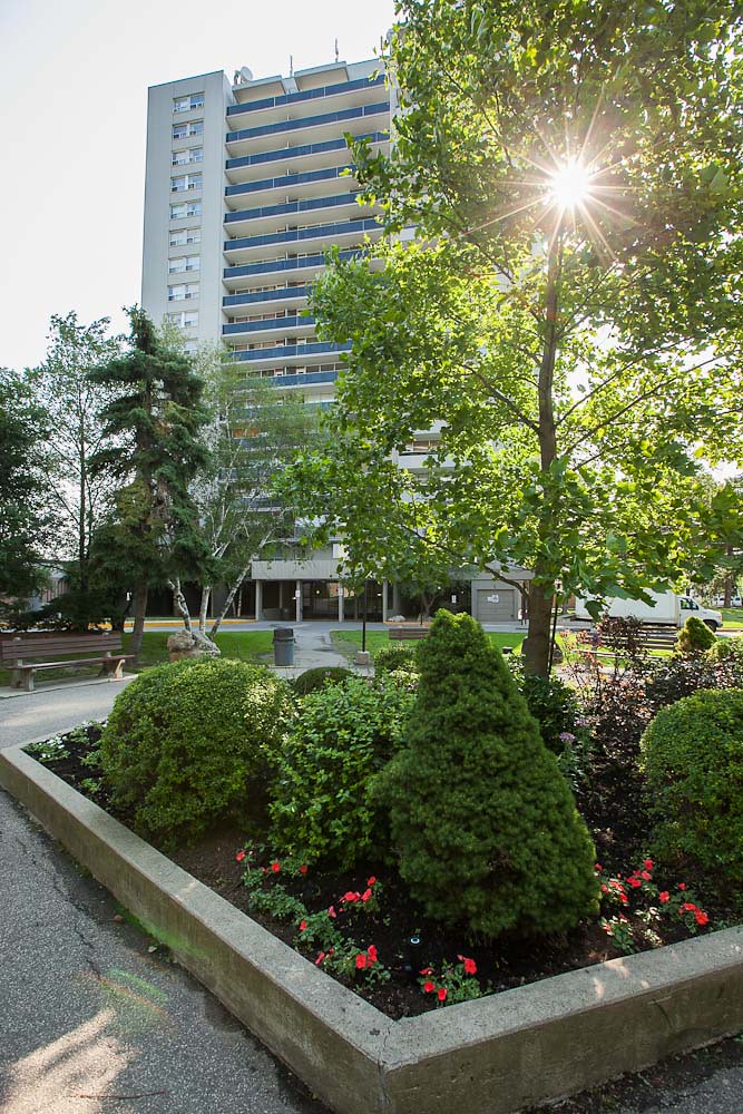 Leslie York Mills Building Design Building design of Minto… Flickr