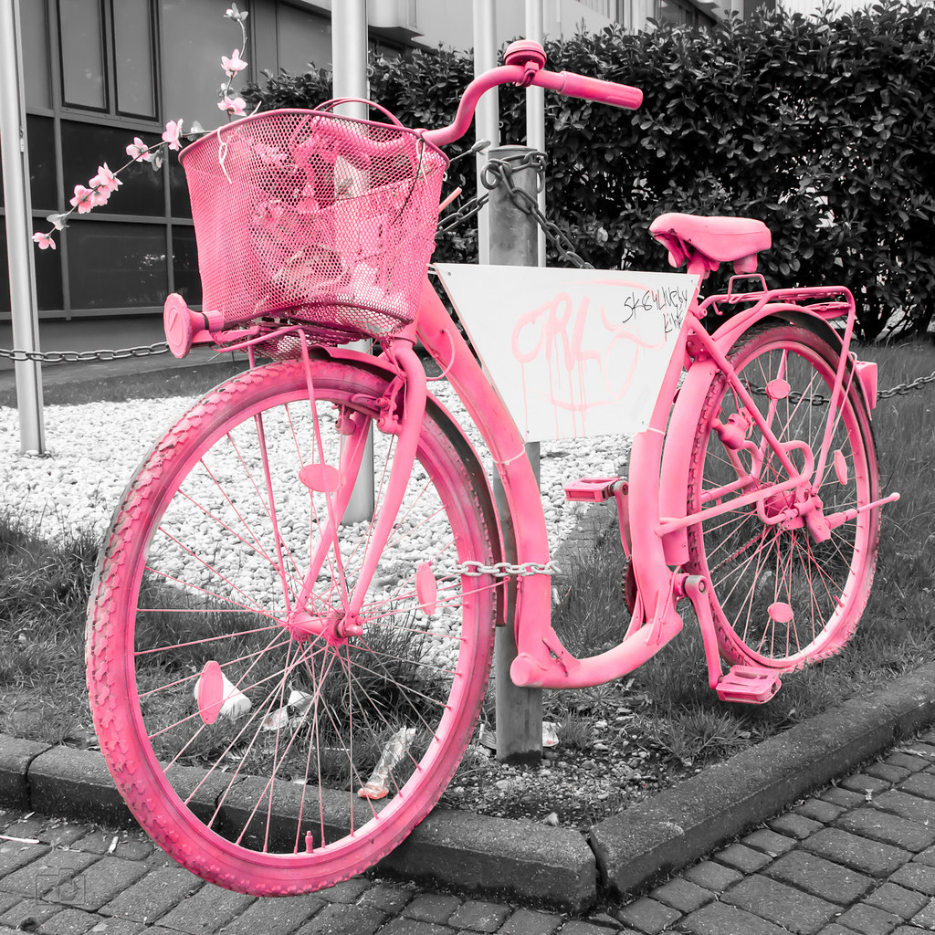Bauch Stevenson Leninismus pink köln fahrrad Grundschule