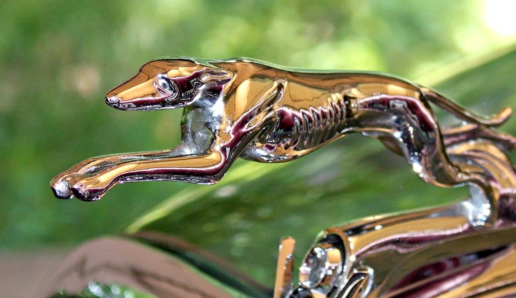 RM Auction. Dog Hood Ornament_1532 photoholic1 Flickr
