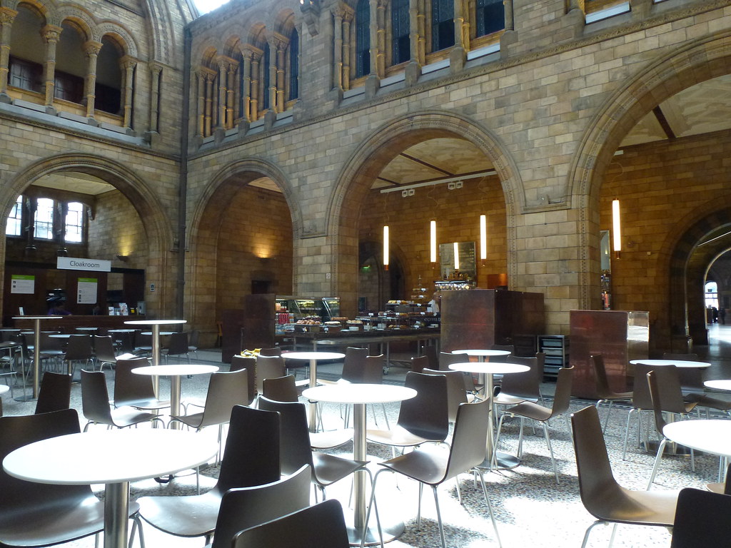 All hotels in london (1230) restaurants near natural history museum, london on tripadvisor: GUIDE TO NATURAL HISTORY MUSEUM LONDON KIDS ACTIVITIES