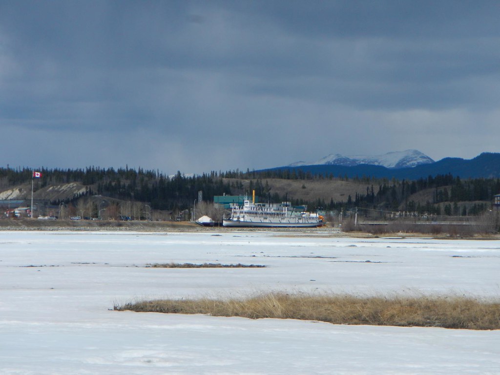 Everyday for 7 WeeksDay 12Watson Lake to Whitehorse Flickr