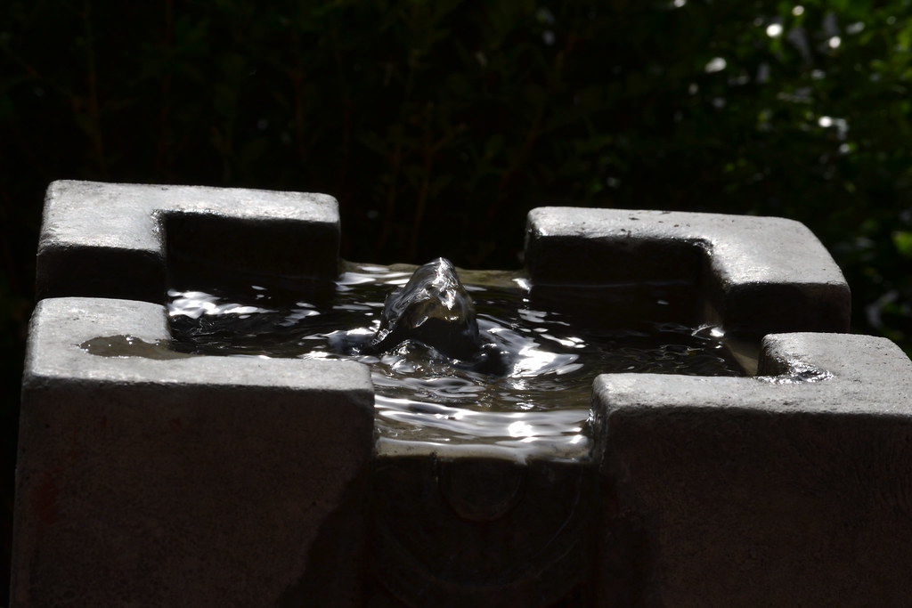 Fast Fountain Fountain shot with a fast shutter speed to s… Flickr