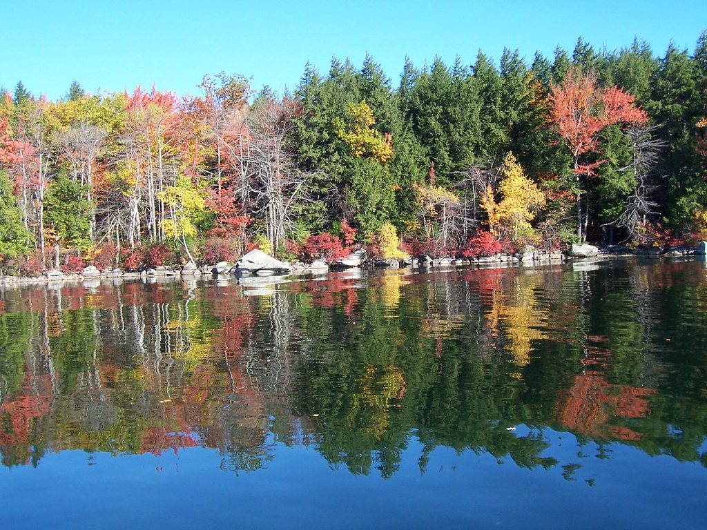 swamp walk oct222007 017 Squam Lakes Association Flickr