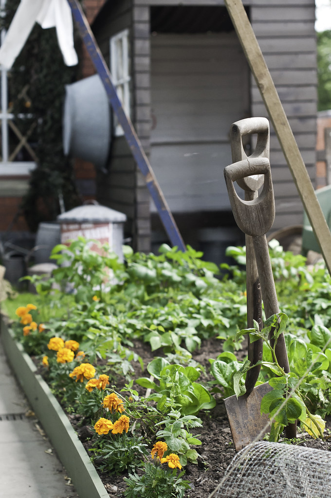 SVR KIdderminster 2012 Frosted Peppercorn Flickr