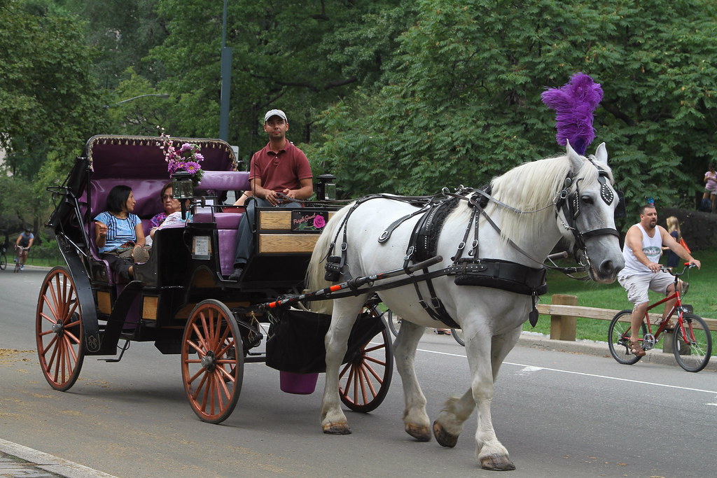 Horse Drawn Carriage in View of Manhattan from Central Par… Flickr