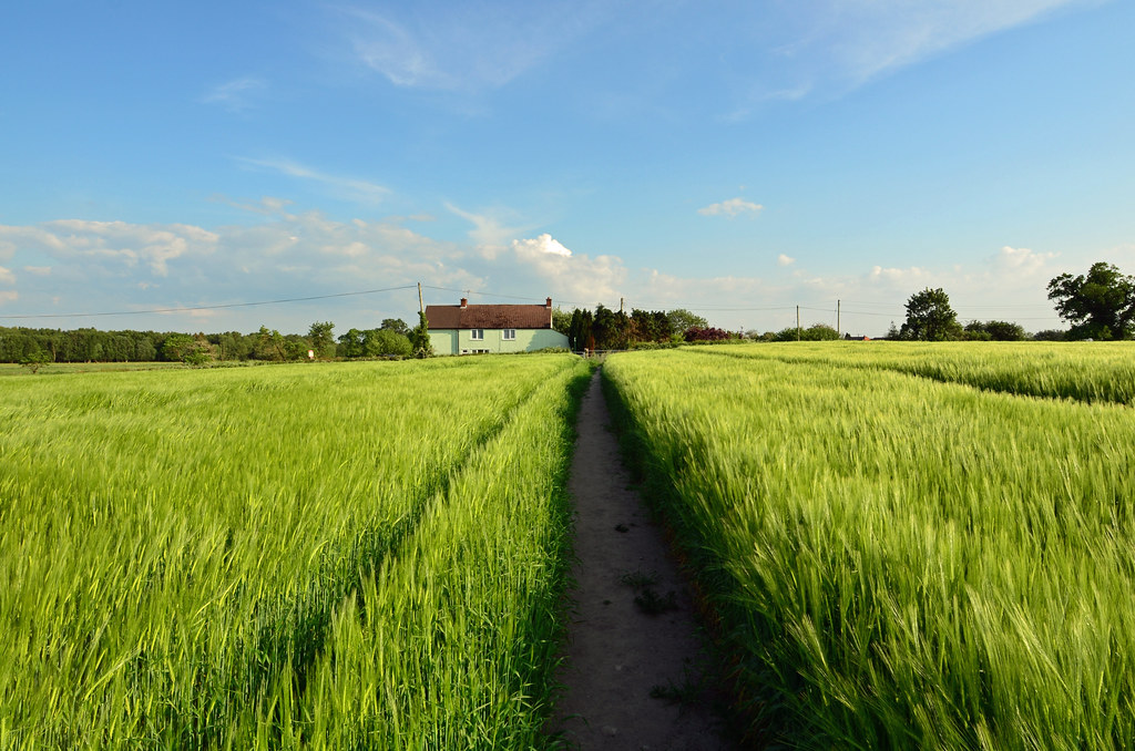 Fertile ground a photo on Flickriver