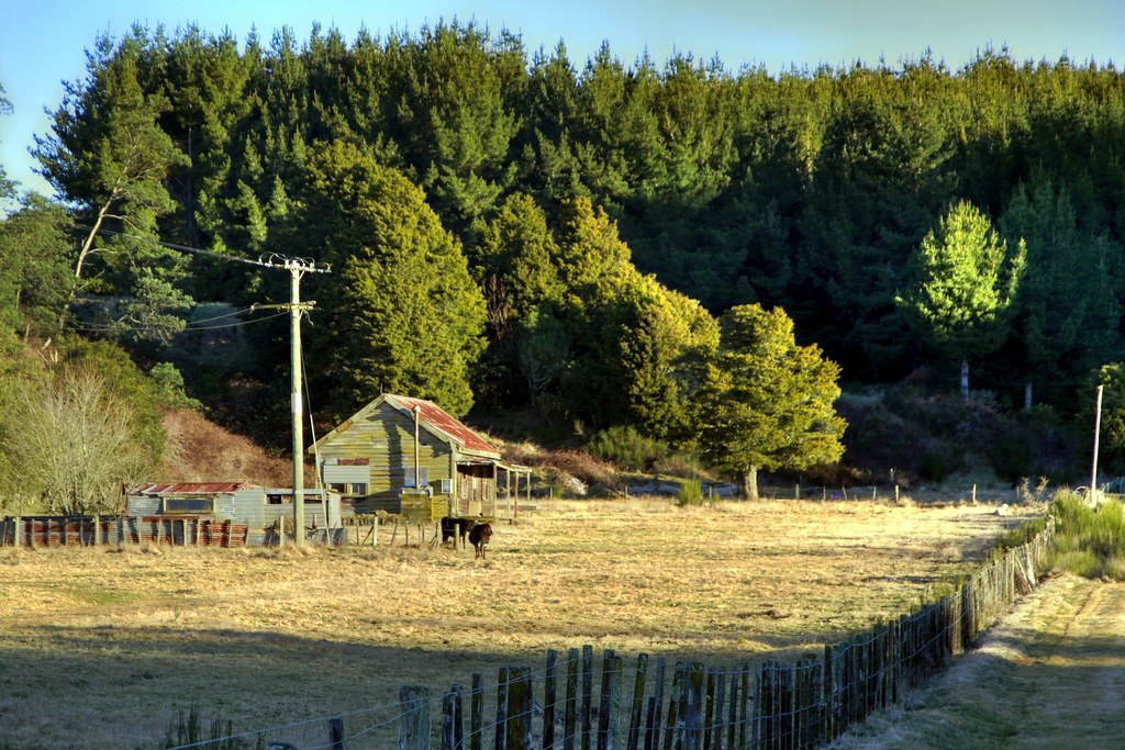 Old house, Mokai, Waikato, New Zealand This is the last ho… Flickr
