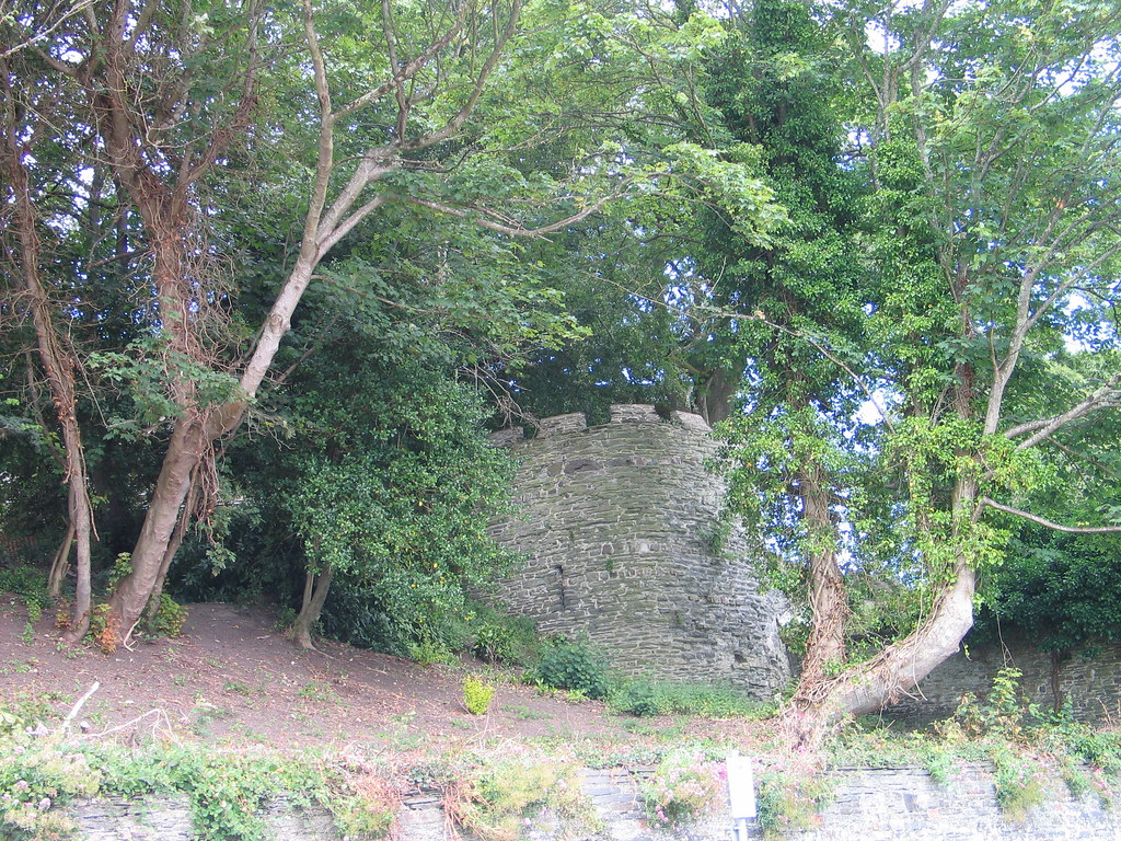 CARDIGAN CASTLE IMG_7895 Cardigan Castle has won financial… Flickr