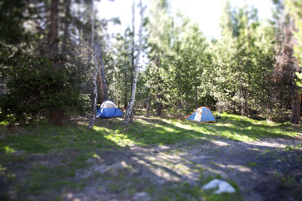 Peppermint campground Sequoia National Forest maebird.blog… Flickr