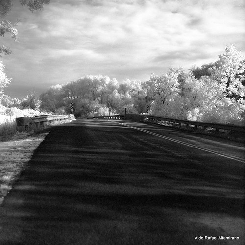 Elevation of Forest City, PA, USA Topographic Map Altitude Map