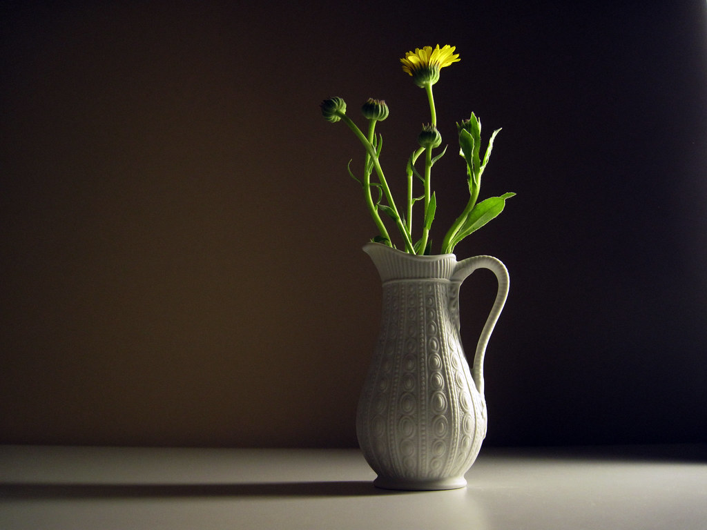 IMG_2426 yellow flower white vase ezraanthony Flickr