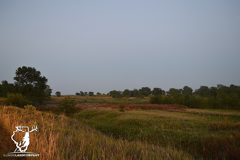 Illinois Land for Sale 480 Acres in Knox County www.illi… Flickr