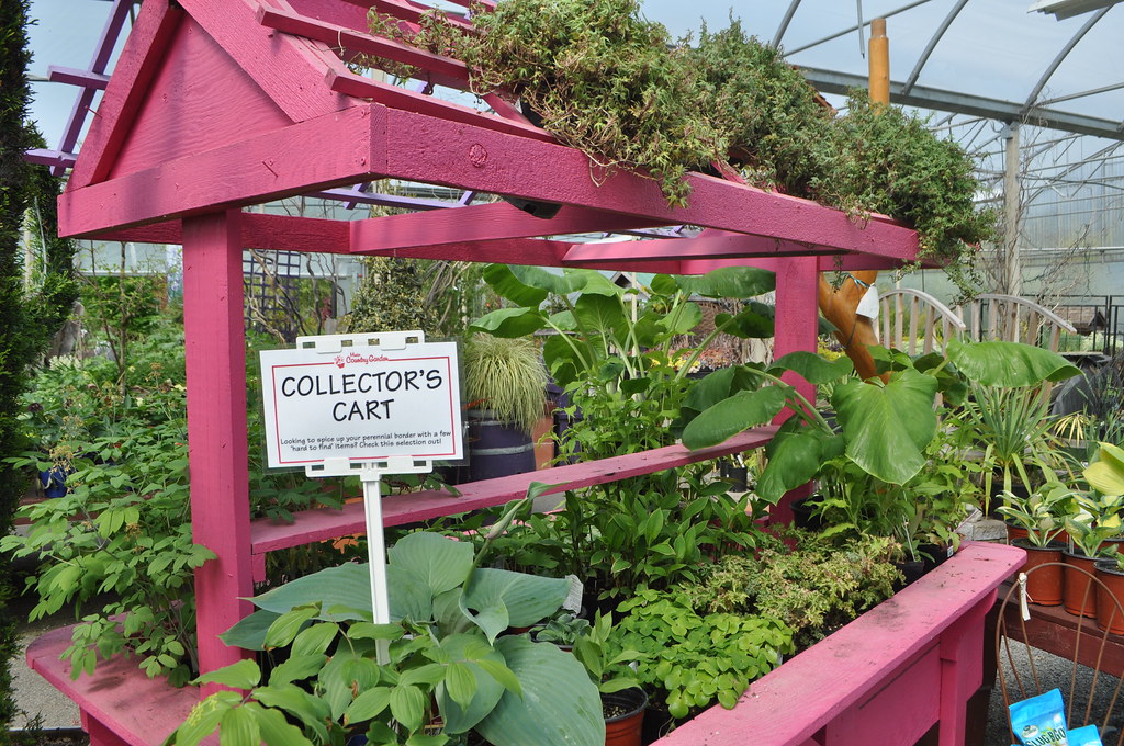 5 Great Gardening Centres Minter Gardens Country Store Flickr
