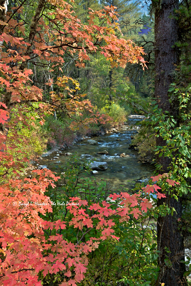 Elevation of Alpine North Loop Campground, CaribouTarghee National