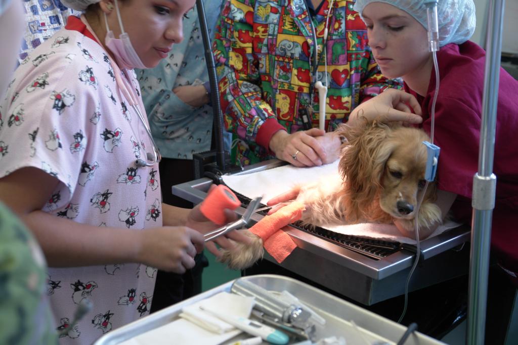 Animal Health Technology Facilities Vanier College Flickr