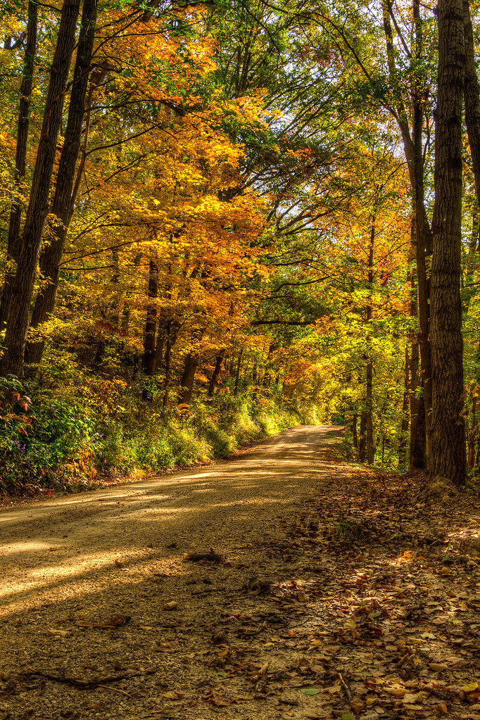 Elevation of Scenic Lane, Scenic Ln, Wauzeka, WI, USA Topographic Map