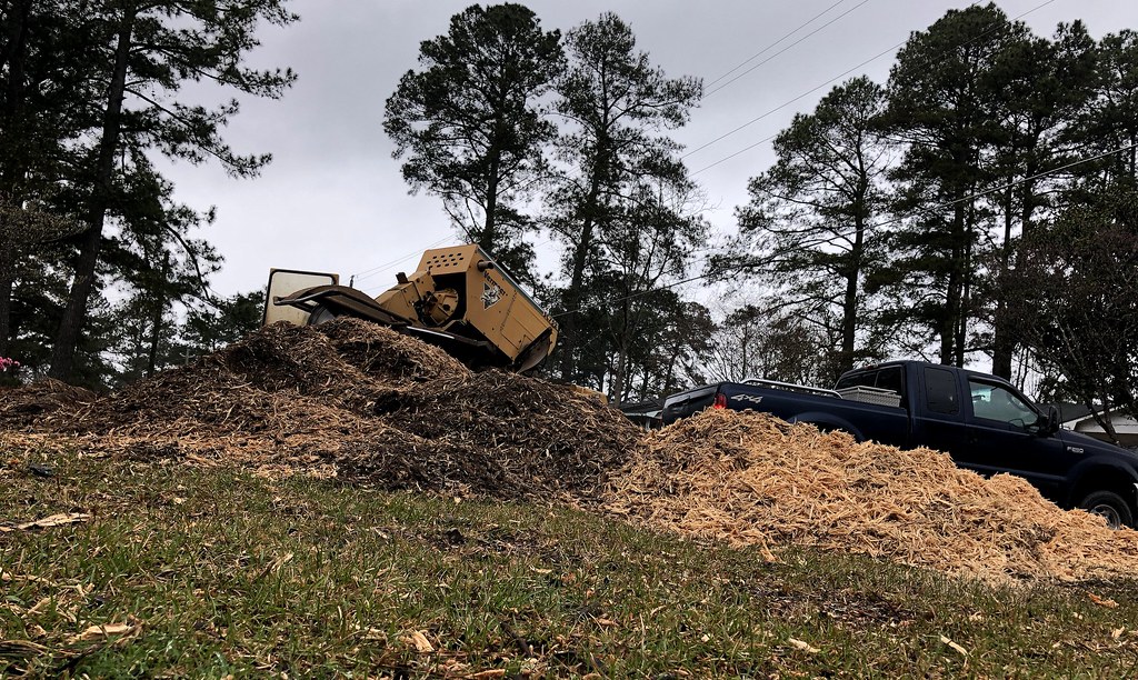 IMG_0646 Double Pine Tree removal by American Allstar Tree… Flickr