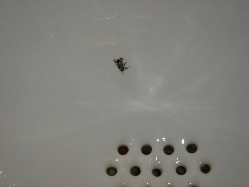 Ceramic Fly in Mens Urinal At Schiphol Airport, Amsterdam Flickr