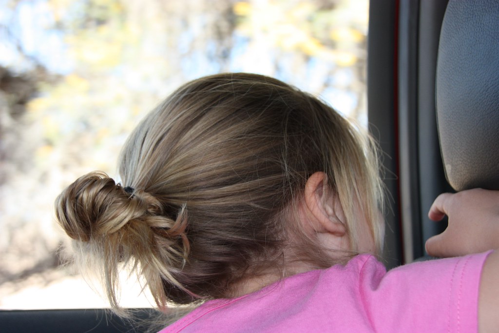 African Wild Cat killing Squirrel 6km from Mata Mata20120… Flickr