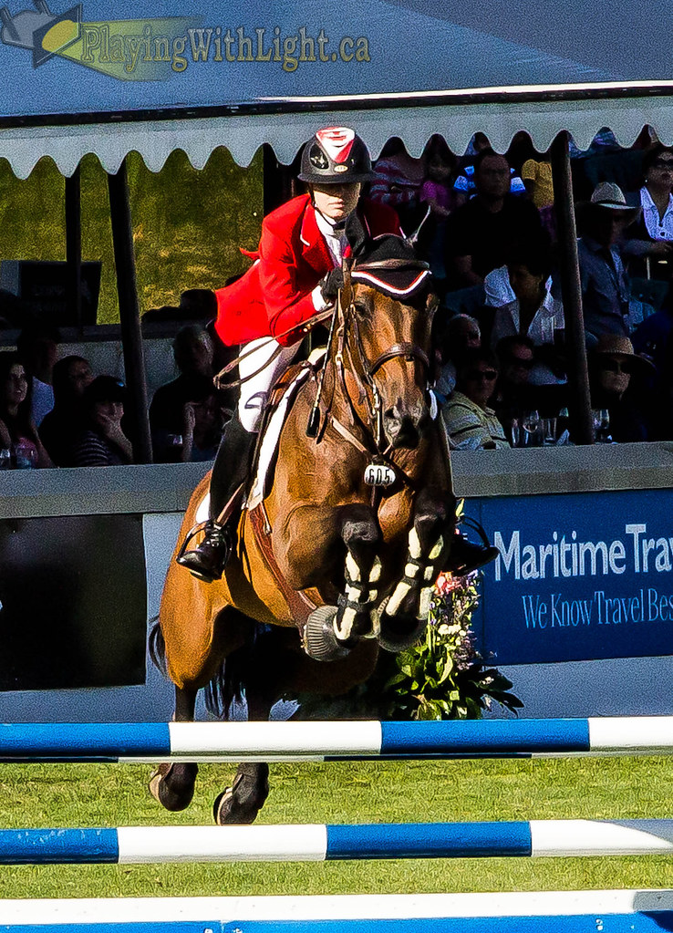 Horse hop Kornymunkies Flickr