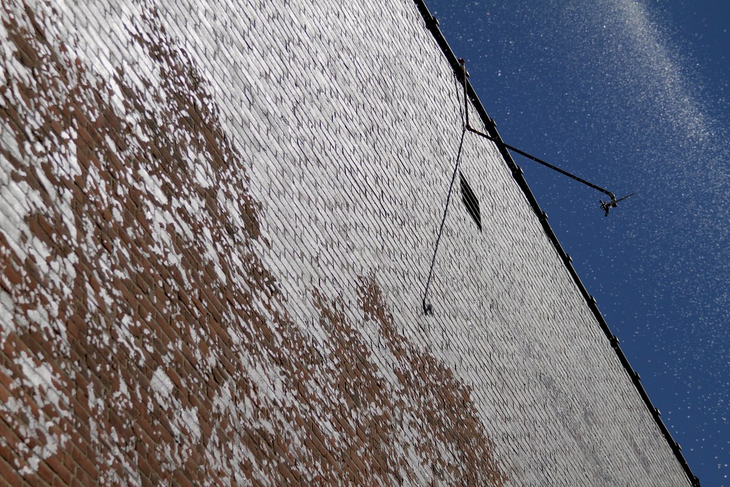 The Charter Oak 9 Work featured, The Charter Oak" by Adam … Erika