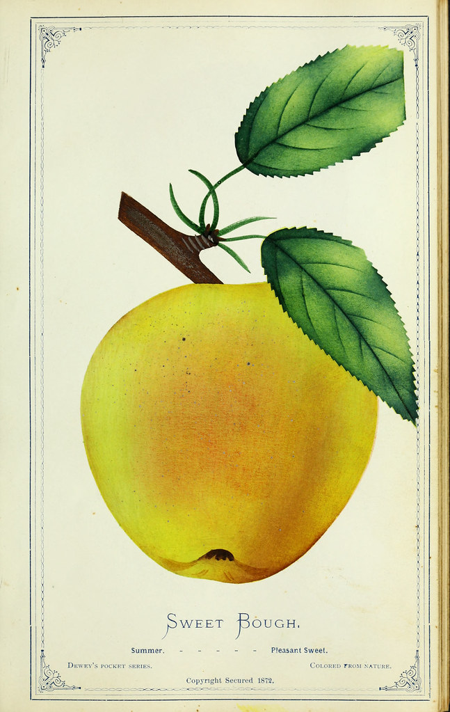 The nurseryman's pocket specimen book Public Domain The n… Flickr