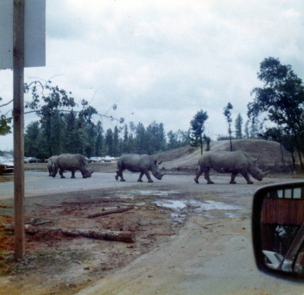 1974 Lion Country Safari, Kings Dominion Doswell VA, Jul… Flickr
