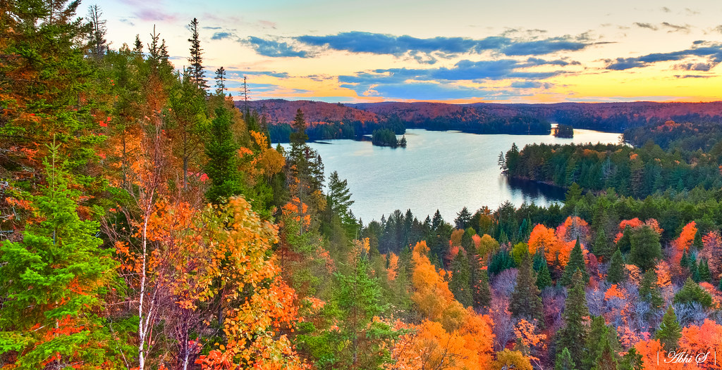 Colors of Fall Algonquin Provincial Park, Ontario For more??? Flickr