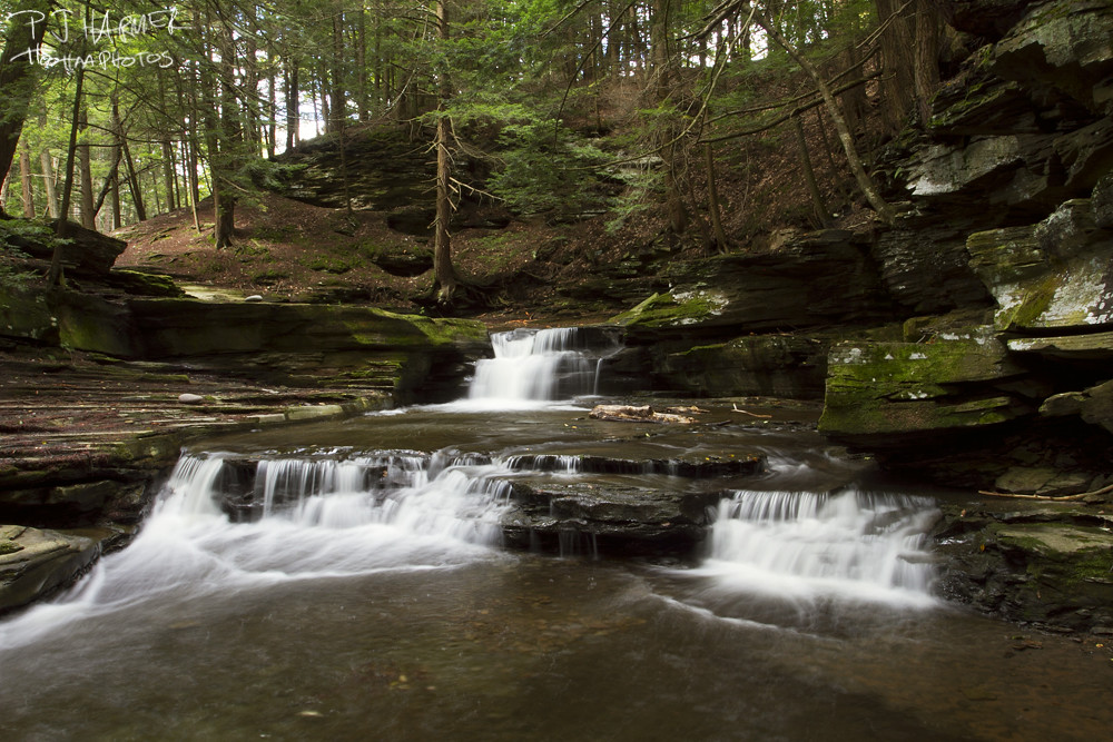 Elevation of Thoroughbred Rd, Walton, NY, USA Topographic Map