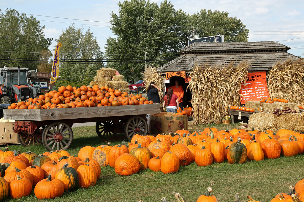 2012 September 25, Great pumpkin farm, Clarence New York. Flickr