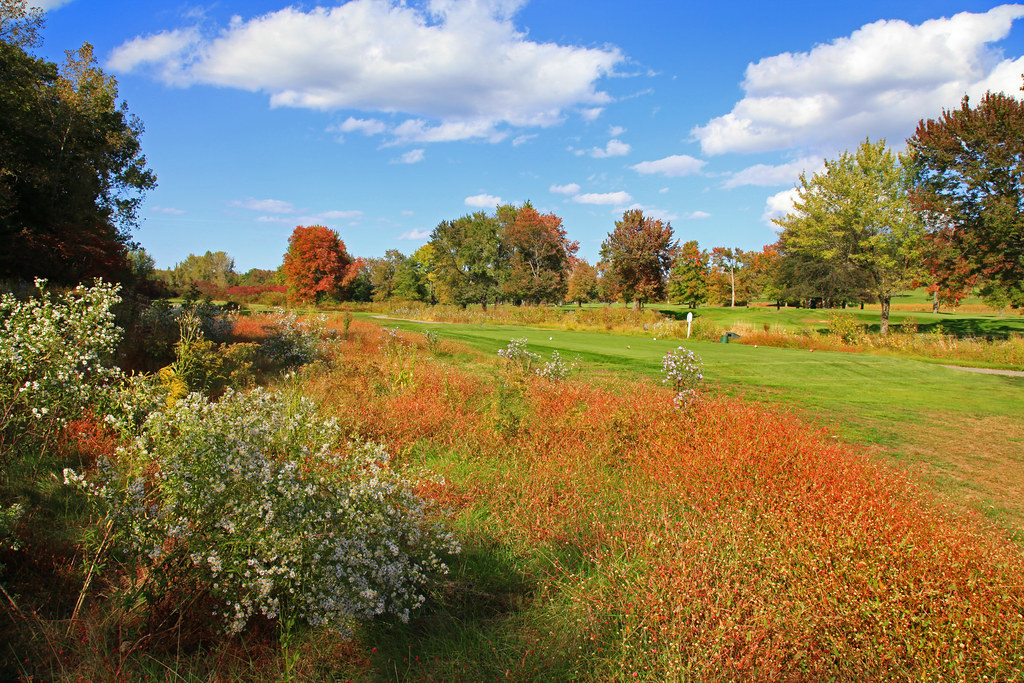 Elevation of 81 Fowler Rd, Westfield, MA, USA Topographic Map