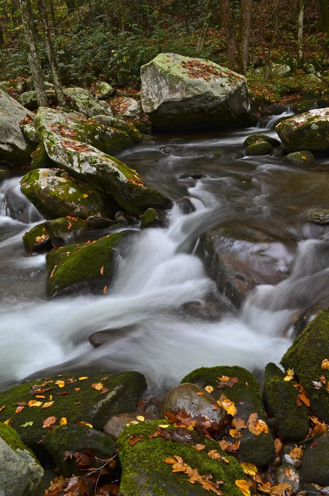 Cosby Creek Near Cosby Campground, Great Smoky Mountains N… Flickr