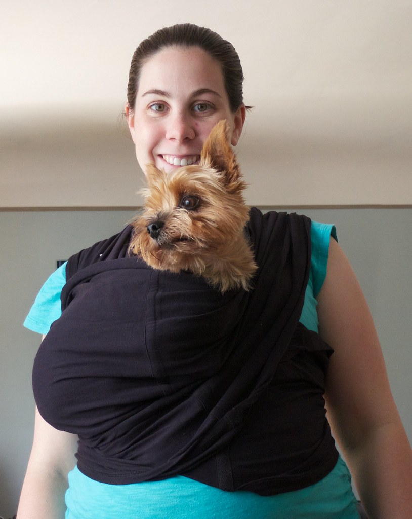 169 Dog Wearing Sara tries out the baby carrier with Snick… Eric