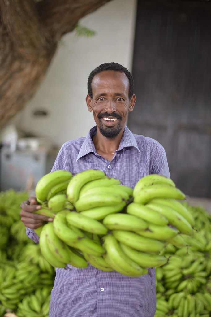 2015_06_29_Banana_processing8 A worker shows off a bunch … Flickr