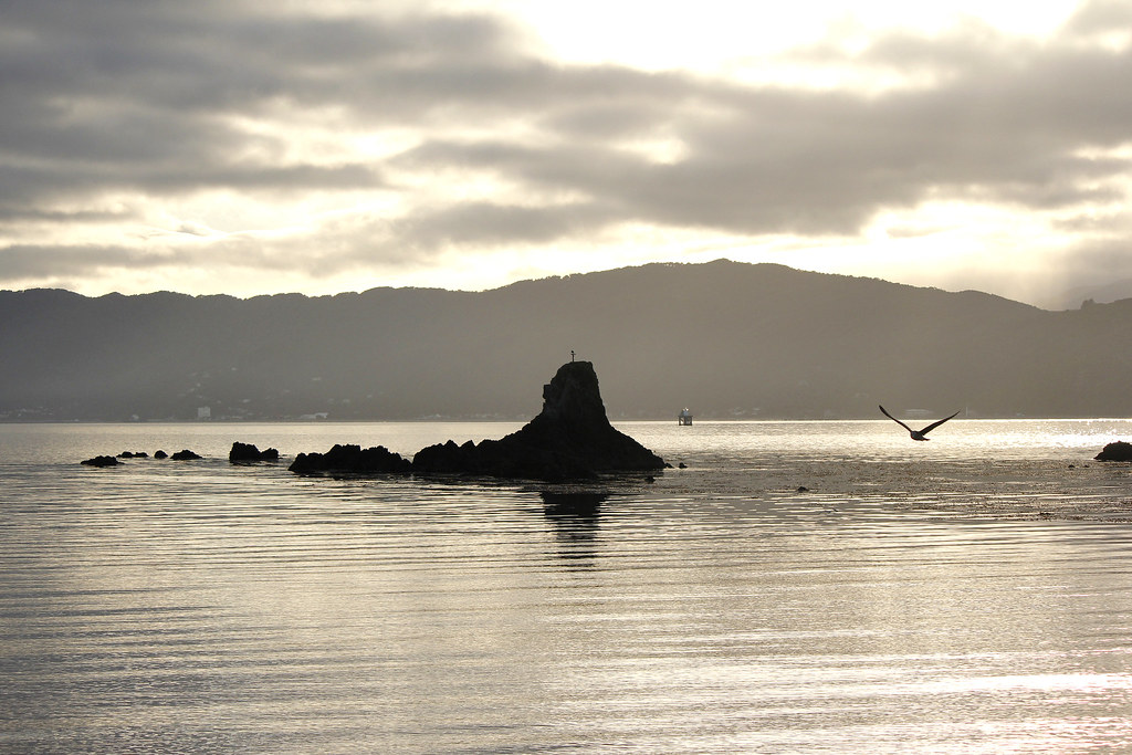 Early Morning Steeple Rock, Seatoun Liz Ritchie Flickr
