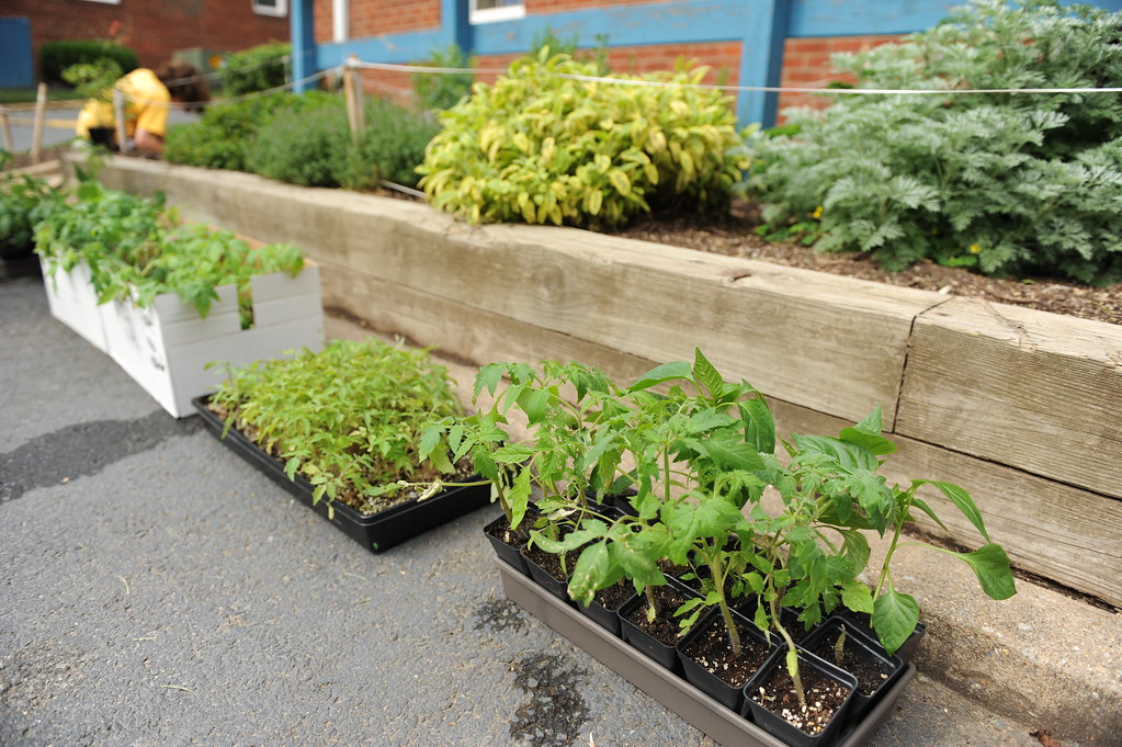 BRAVO 5.2.12 Community Gardens Event at Whitefield Commonsâ€¦ Flickr