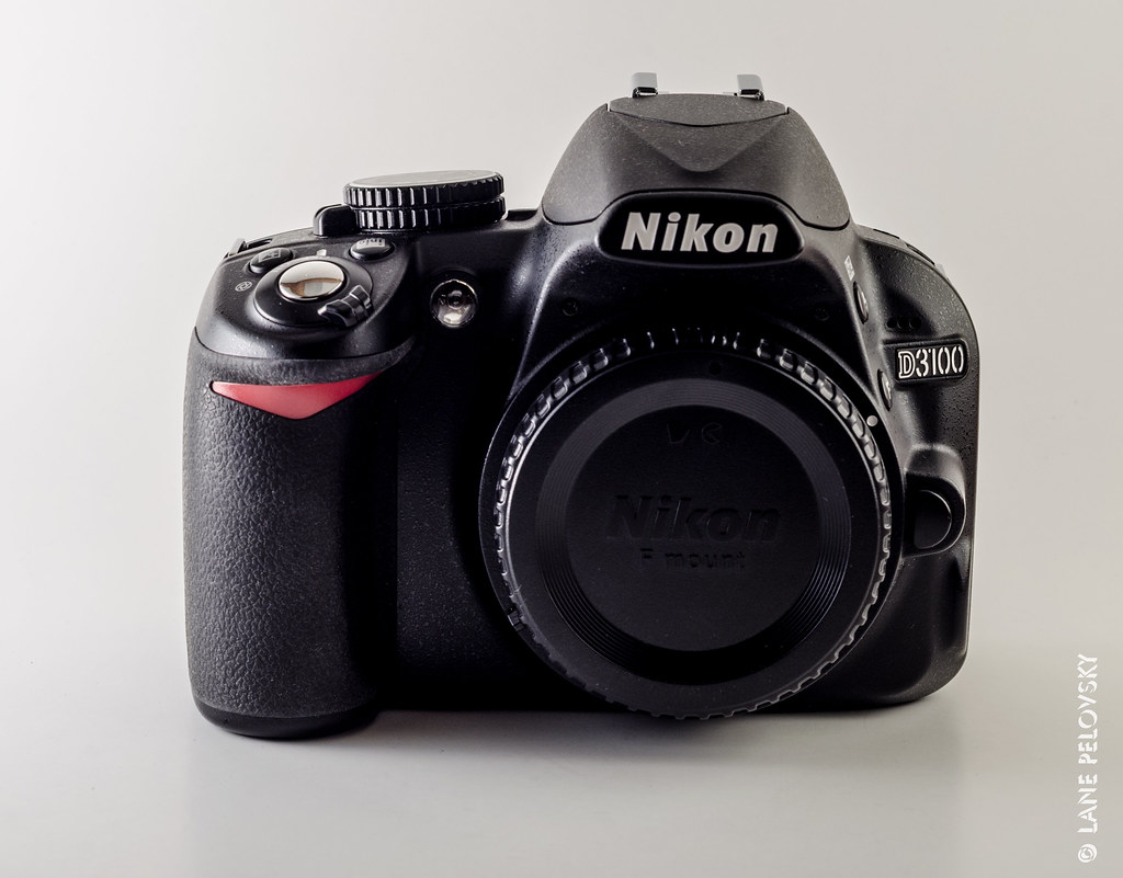 Nikon D3100 Front Shot with Nikon MicroNikkorP 55mm f/3.… Flickr